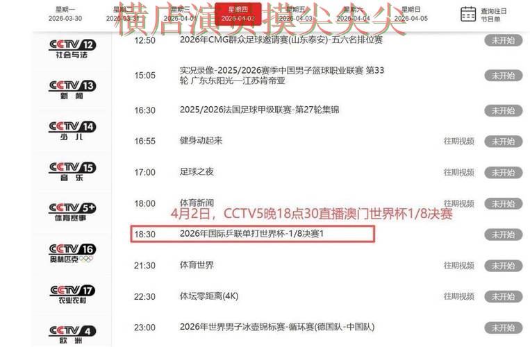 世界杯投注平台全面分析：聚焦速度测试与赛事直播体验 - 世界杯官方信息
